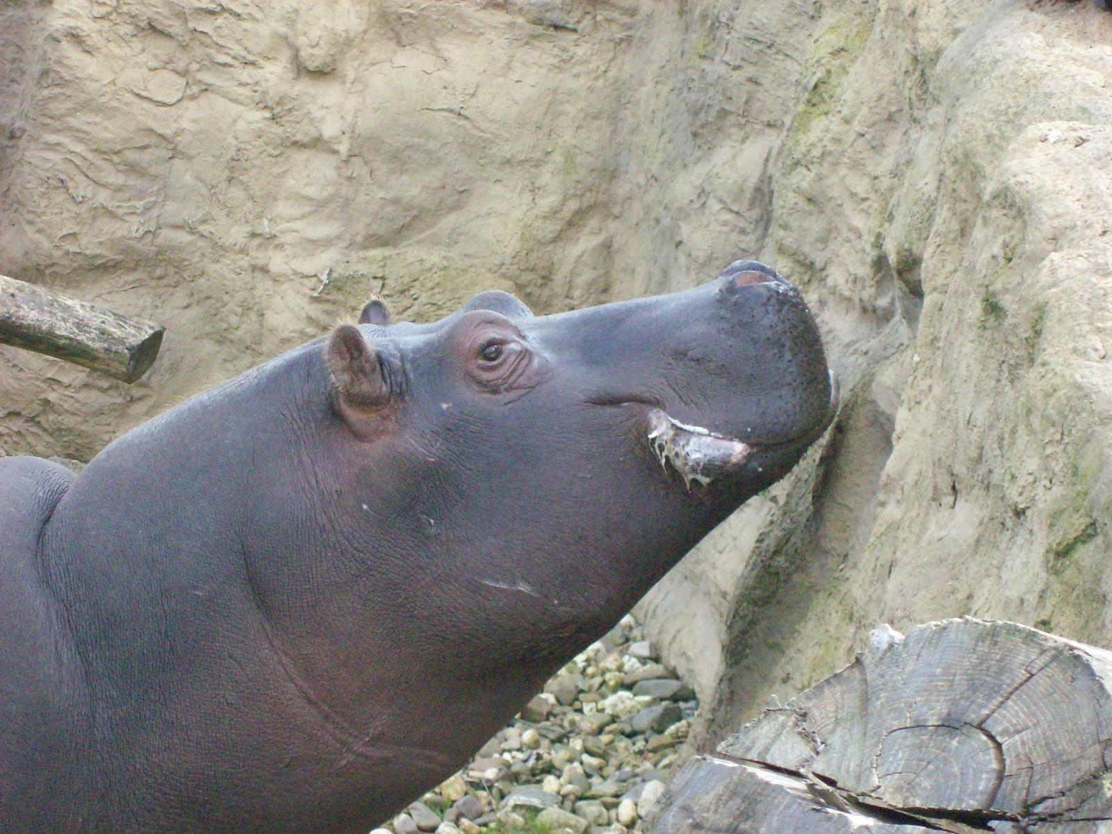 Zoom 18.10.2008-186.jpg